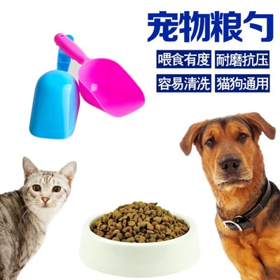 宠物粮铲选购指南 从使用到清洁，一次性说清楚