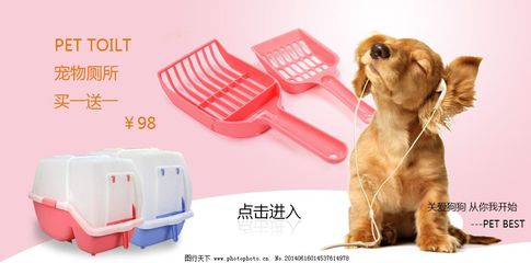宠物厕所海报设计指南与实用模板素材