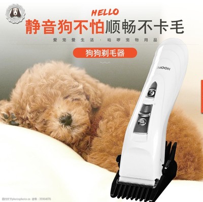 宠物用品全攻略 如何为爱宠选择最佳装备与护理用品