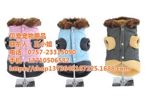 海口贝宠宠物用品大狗衣服定制 专业设计与高清预览指南